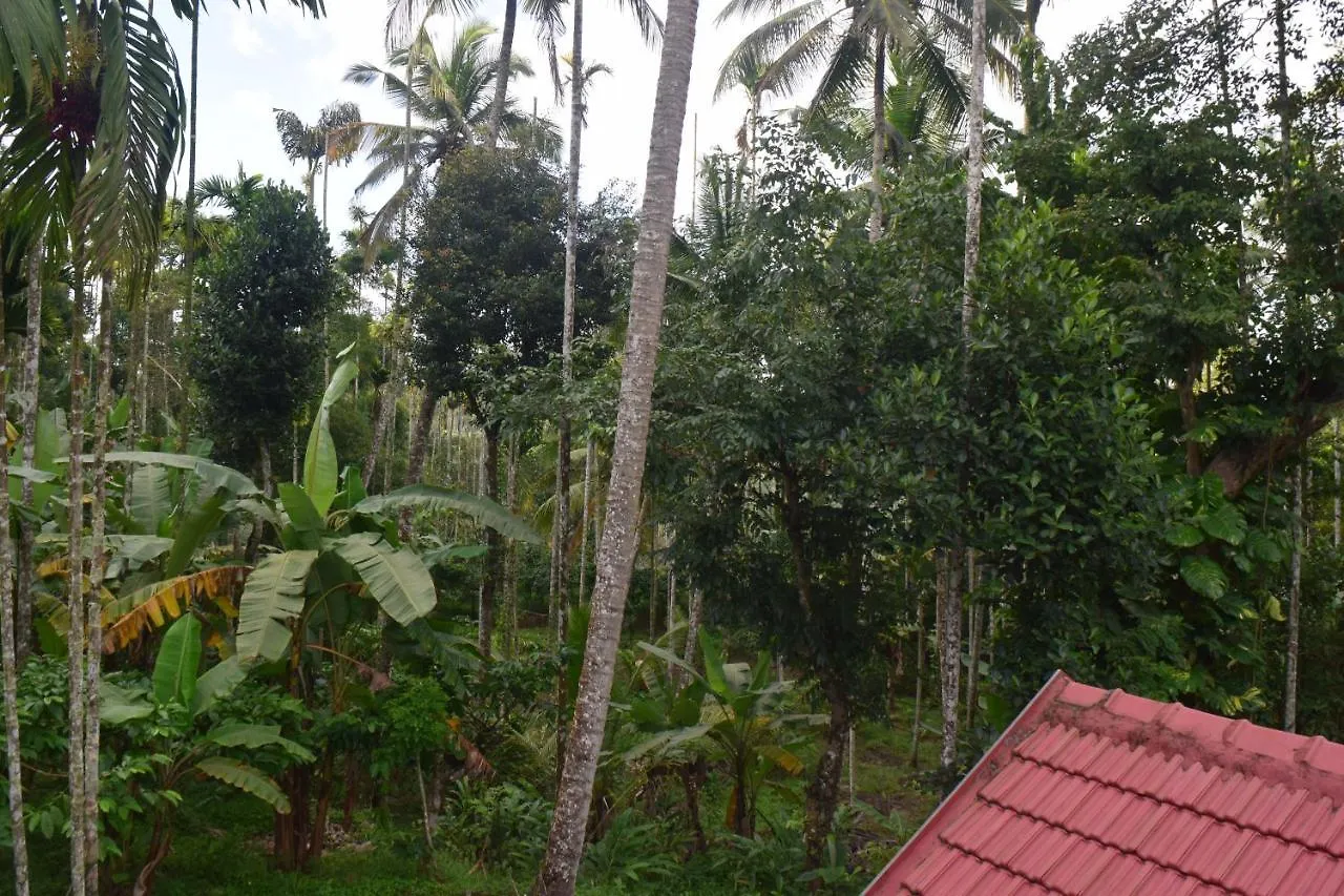 Golden Peak Estate Homestay واياناد الهند