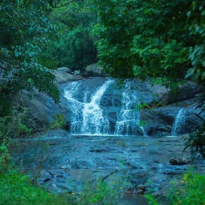 Resort Wild Courtyard, Wayanad