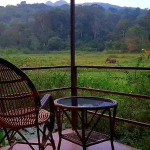 Lodge Jungle Retreat, Wayanad