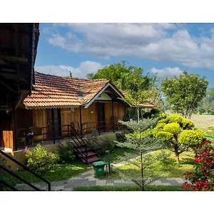 Resort Mystery Maze And, Wayanad