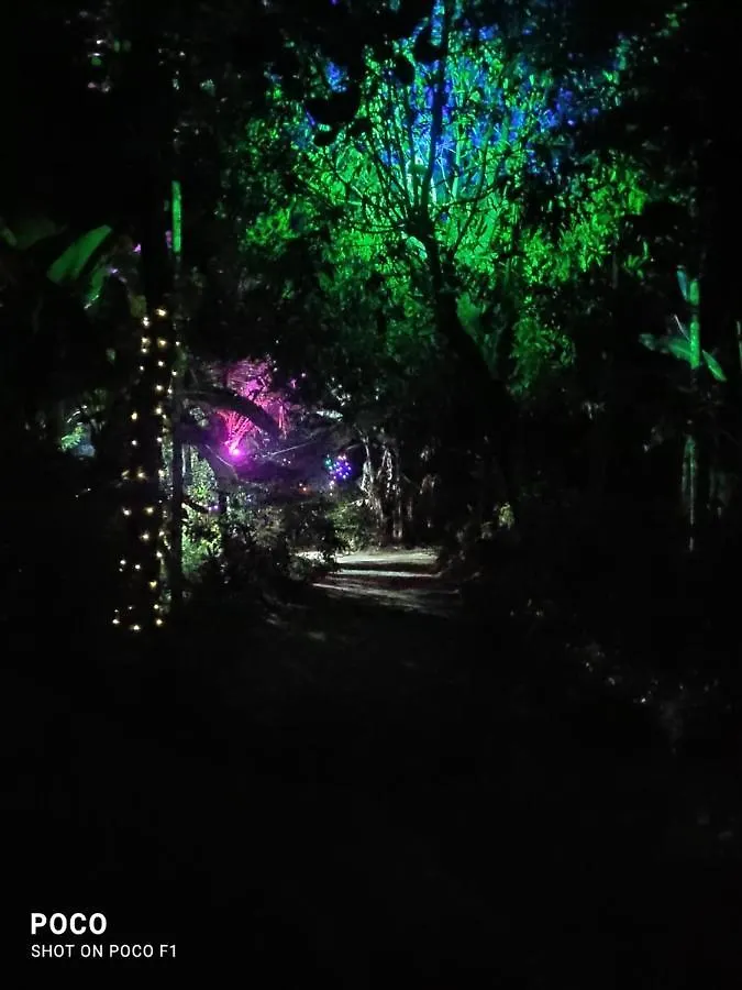 Golden Peak Estate Homestay Wayanad India